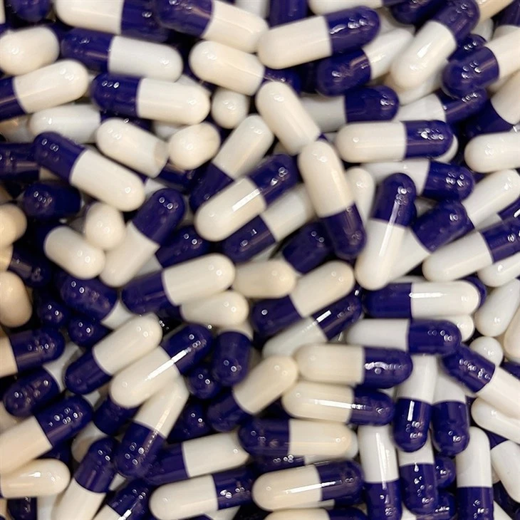 Gelatine Pill Capsules2